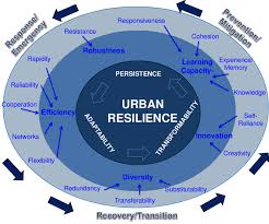 Training course on Urban Resilience Planning and Infrastructure Adaptation