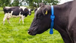 Training Course on Wearable Sensors for Livestock Monitoring and Health