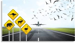Training Course on Wildlife Hazard Management at Airports