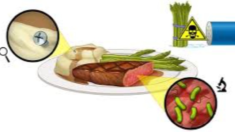 Understanding Food Safety Hazards: Biological, Chemical, Physical Training Course