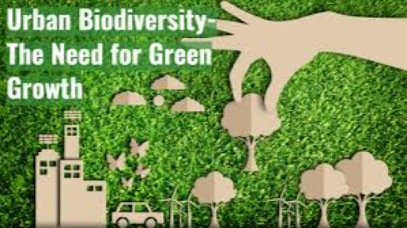 Urban Biodiversity and Green Spaces Training Course