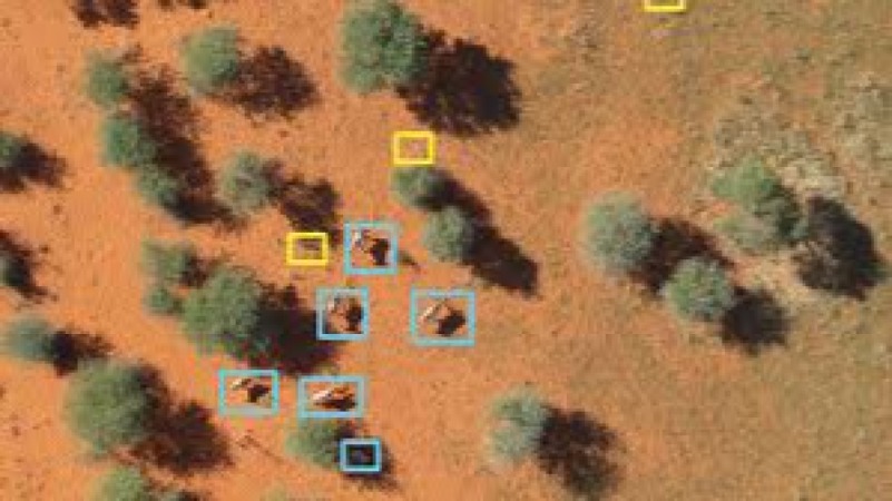 Using Drones for Wildlife Census Training Course