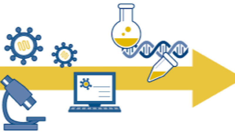 Vaccine Development - From Bench to Mass Production (Epidemic Focus) Training Course