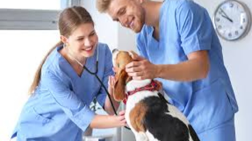 Veterinary Clinical Practice Fundamentals Training Course