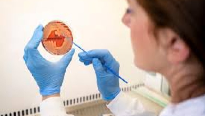 Veterinary Pathology Foundations Training Course