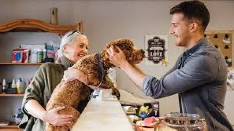 Veterinary Practice Management Training Course