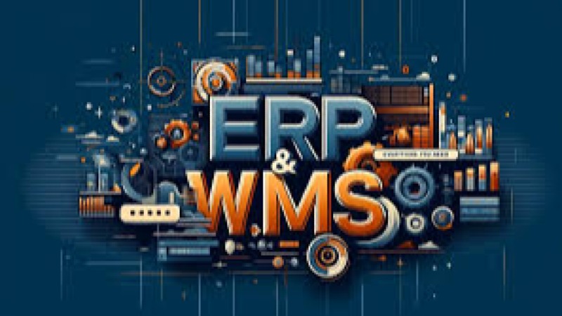 Warehouse Processes and ERP Integration Training Course