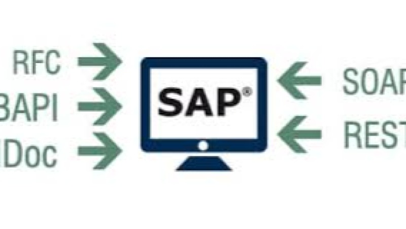 Web Services and BAPI Integration for SAP Training Course