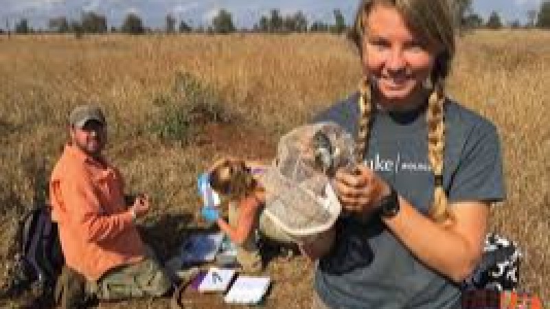 Wildlife Disease Ecology Training Course