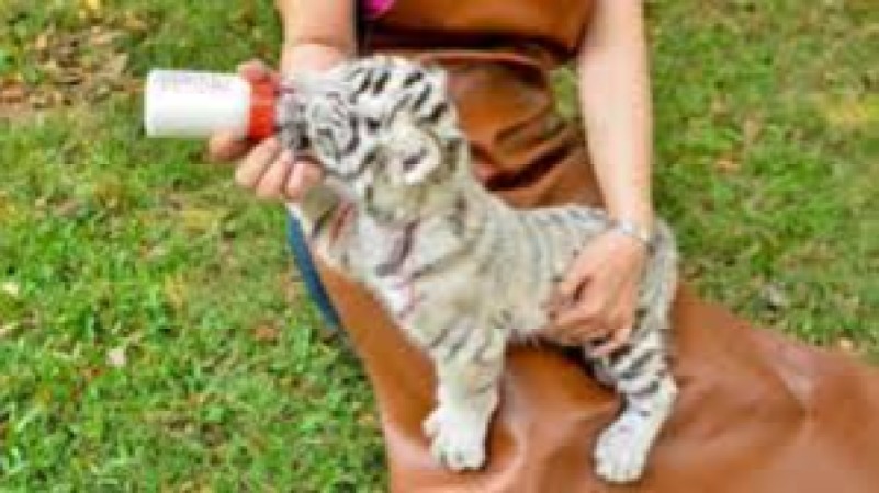 Wildlife Emergency Response Training Course