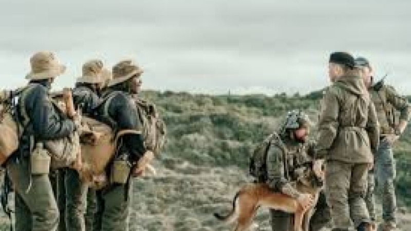 Wildlife Law Enforcement and Anti-Poaching Strategies Training Course